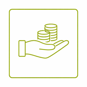 Icon Preis-Leistung